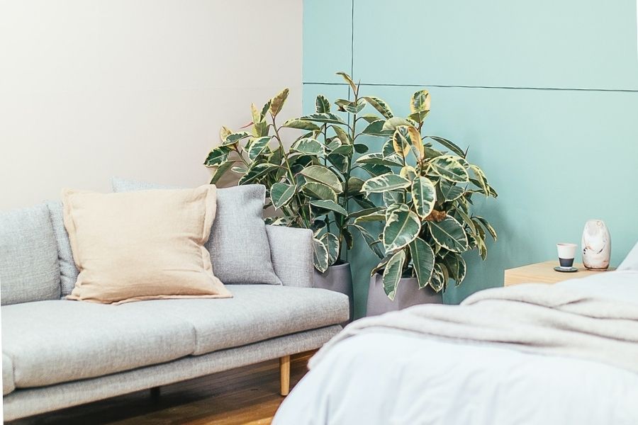 Rendre un appartement plus lumineux avec de la peinture verte